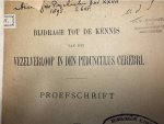 KAM, A.C., - Bijdrage tot de kennis van het vezelverloop in den pedunculus cerebri. KAM, A.C., - Bijdrage tot de kennis van het vezelverloop in den pedunculus cerebri.