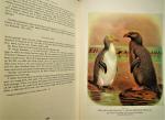 Buller, Walter Lawry/J.G. Keulemans (lithographer) - Buller's Birds of New Zealand: A New Edition of Sir Walter Lawry Buller's 'A History of the Birds of New Zealand'