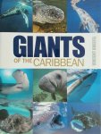 Vincent Kneefel - Giants of the Caribbean