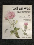 Annebet Stam - Wel en wee in de dorpstuin