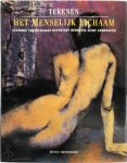Diana Constance 77161, Jan Wynsen 30968, Renske de Boer - Tekenen: Het menselijk lichaam Anatomie, verhoudingen, evenwicht, beweging, licht, compositie