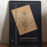  - ALPENPFLANZEN , 17