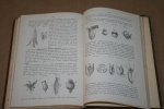 C. Oudemans - Leerboek der Plantkunde --  Vormleer en rangschikking