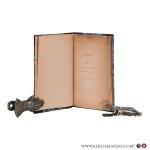 Rappard, F. A. - Overzigt eener verzameling alba amicorum uit de XVIde en XVIIde eeuw. (Uitgegeven in: Werken van de Maatschappij der Letterkunde)