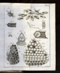 G.A. Bazin - Histoire Naturelle des Abeilles: Avec des Figures en Taille-Douce. A Paris, Chez les Freres Guerin, rue S. Jacques, vis-à-vis les Marthurins, à Saint Thomas d'Aquin. M. DCC. XLIV. Avec Approbation & Privilége du Roi.