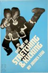 James Lew - The Art of Stretching and Kicking