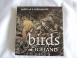 Bardarson Hjalmar R. - Birds of Iceland