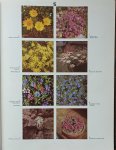 Hay, Patrick M. Synge - 2000 Tuin/Kas en Kamerplanten in Kleur