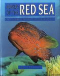 Fridman, David - Wonders of the Red Sea. 317 colour photos & illustrations