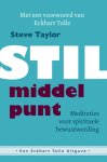 Steve Taylor 41704 - Stil middelpunt meditaties voor spirituele bewustwording
