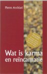 Pietro Archiati - Wat Is Karma En Reincarnatie