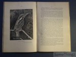 Verheyen, R. - De duiven en de hoenders, alsook de snorvogels en zitvoetigen van België.