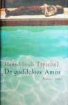 Treichel, Hans - Ulrich - De goddeloze Amor