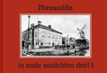 R. Georgius - Nieuwolda in oude ansichten deel 1