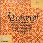 Pepin van Roojen - Mediaeval patterns of the Romanesque period