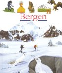 Onbekend - Bergen