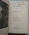 Beccari, Odoardo - Wanderings in the Great Forests of Borneo. Travels and Researches of a Naturalist in Sarawak.