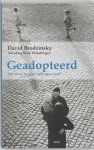David M. Brodzinsky, Marshall D. Schechter - Geadopteerd