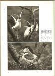 Stanek, V. J. en L.Hugh Newman - World of Nature .. The wonders and beauty of nature in 300 photographs