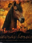 Vavra, Robert - Vavra's horses - Ten of the world's most beautiful equines