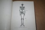 Werner Spalteholz, Wilhelm His - Handatlas der Anatomie des Menschen — Band. 1. Knochen, Gelenke, Bänder — Mit unterstützung von Wilhelm His