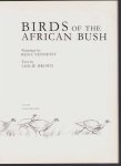 Rena Fennessy - Birds of the African bush