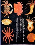 Robert H.Morris, Doald P. Abbott, and Eugene C.Haderlie - intertidal invertebrates of california