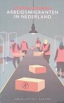 Bouazza, Hassnae - Arbeidsmigranten in Nederland:verhalen en getuigenissen