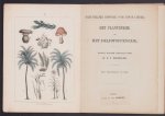 H Wagner - Het plantenrijk en het delfstoffenrijk