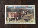  - Animal Friends on the Farm  A Tuck Book Linen-Lined