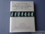 Eadweard Muybridge. - Muybridge's complete human and animal locomotion. All 781 plates from the 1887 Animal Locomotion by Eadweard Muybridge. Volume II.