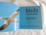 Bardarson Hjalmar R. - Birds of Iceland