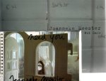 MEESTER, Joanneke - Joanneke Meester - Safe / Not Safe + Need You. MEESTER, Joanneke - Joanneke Meester - Safe / Not Safe + Need You.