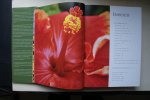 Bryant, K. - beschrijvingen - planten kiezen - handige tips - teeltaanwijzingen TUINBLOEMEN Encyclopedie