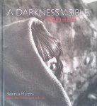 Murphy, Seamus - A Darkness Visible: Afghanistan