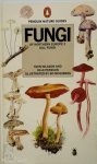 Sven Nilsson 155647,  Olle Persson 155646 - Fungi of Northern Europe
