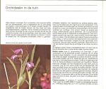 Schoser Gustav  .. Nederlandse vertaling van Ellen Koomen veel foto's - Orchideeën. Uiterlijk, snijbloemen, potcultuur, verzorging