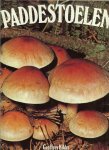 Kibby, Geoffrey .. Nederlandse vertaling : J.J. Hoedeman - Paddestoelen