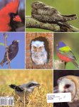 Williams, Winston (ds1256) - Florida's Fabulous Birds / Land Birds