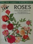 Roger Phillips 53712,  Martyn Rix 11434 - Roses