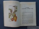 Dubois, Louis et van Laere, René. - Le manguier au Congo belge et au Ruanda-Urundi