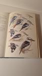 C. Hilary Fry - Kingfishers, Bee-eaters and Rollers  A Handbook