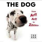 Artlist Collection - Dog from Arf Arf to Zzzzzz