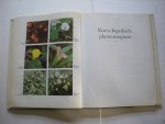 Hay, Roy, McQuown, F.R.Beckett, G.en K., / Pockling, L.,vert. en bew. - De grote kamerplanten encyclopedie, 1000 kamer- kasplanten en hun verzorging,