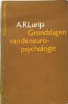A.R. Lurija, Th.W. Mulder, R. van Der Veer - Grondslagen van de neuropsychologie