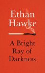 Hawke, Ethan - A bright ray of darkness