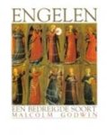 Malcolm Godwin - Engelen Een bedreigde soort