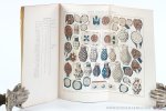 Van Bastelaer, D.-A. - Les anciens grès artistiques flamands dans le nord de la France. Produits dits en allemand (sic) Bollekenskan, fabriqués à Marpent