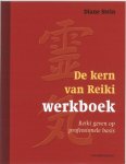 Diane Stein 73680 - De kern van Reiki Werkboek reiki geven op professionele basis