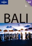 Ryan Ver Berkmoes - Bali Encounter